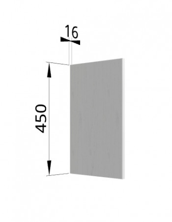 Панель торцевая (для шкафа горизонтального высокого) ВПГ Ройс (Графит софт) в Полойке - polojka.mebel54.com | фото
